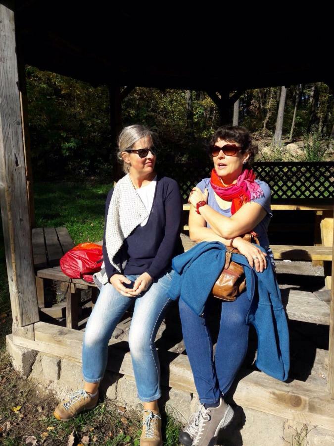Petra Maria Soelle - Ferienhaus Sehr Privat Hermagor-Pressegger See Bagian luar foto