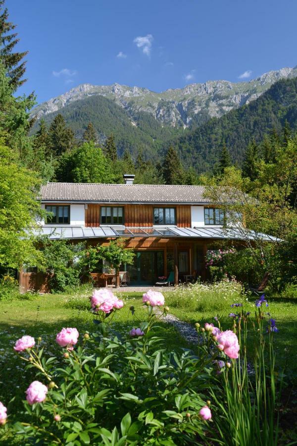 Petra Maria Soelle - Ferienhaus Sehr Privat Hermagor-Pressegger See Bagian luar foto